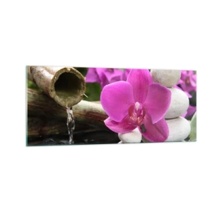 Impression sur verre - Image sur verre - Tu te reposes déjà - 100x40 cm