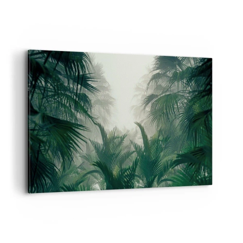 Impression sur toile - Image sur toile - Végétation tropicale dans un épais brouillard de forêt tropicale - 100x70cm - Secret tropical - Décoration murale moderne pour le salon et la chambre ARTTOR