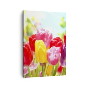 Impression sur toile - Image sur toile - Tulipes colorées en pleine floraison sur fond de printemps - 50x70cm - C'est nous, les couleurs de Mai! - Décoration murale moderne pour le salon et la chambre ARTTOR