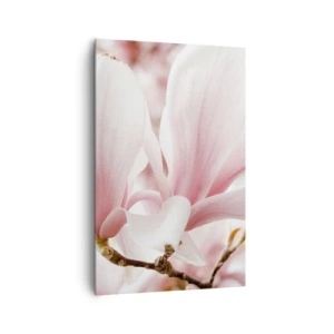 Impression sur toile - Image sur toile - Fleurs de magnolia délicates aux tons pastel - 80x120cm - Abondance de tendresse - Décoration murale moderne pour le salon et la chambre ARTTOR