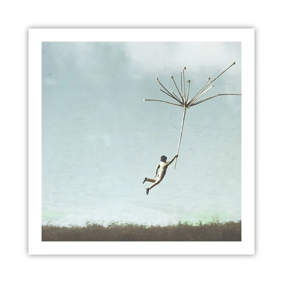 Affiche - Poster - Cerfs-volants, pissenlits, vent - 60x60 cm