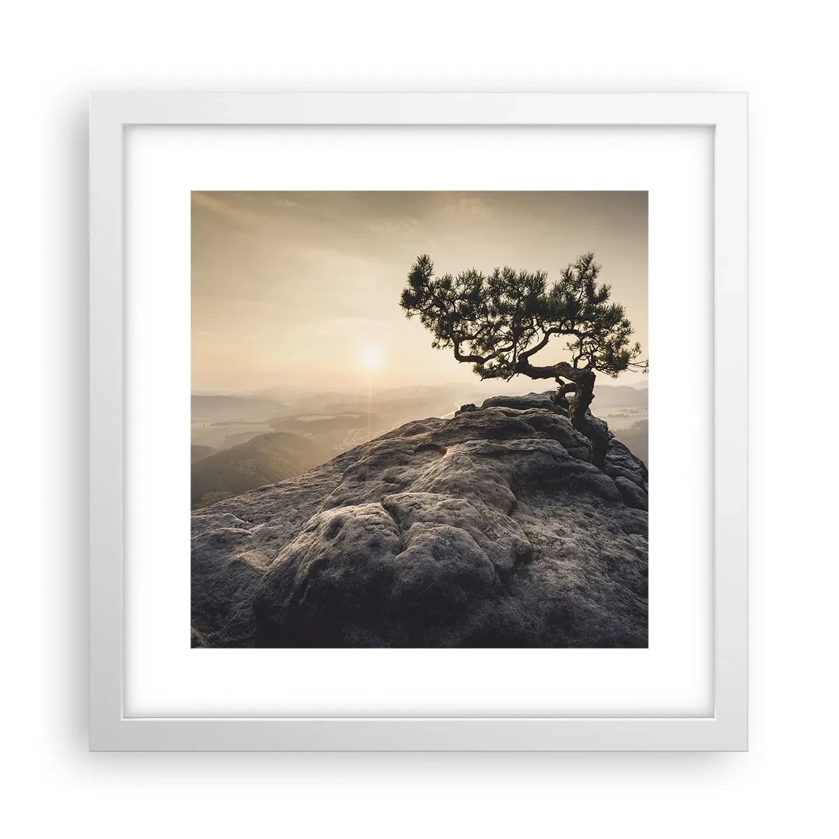 Affiche dans un cadre blanc - Poster - La vie gagne toujours - 30x30 cm