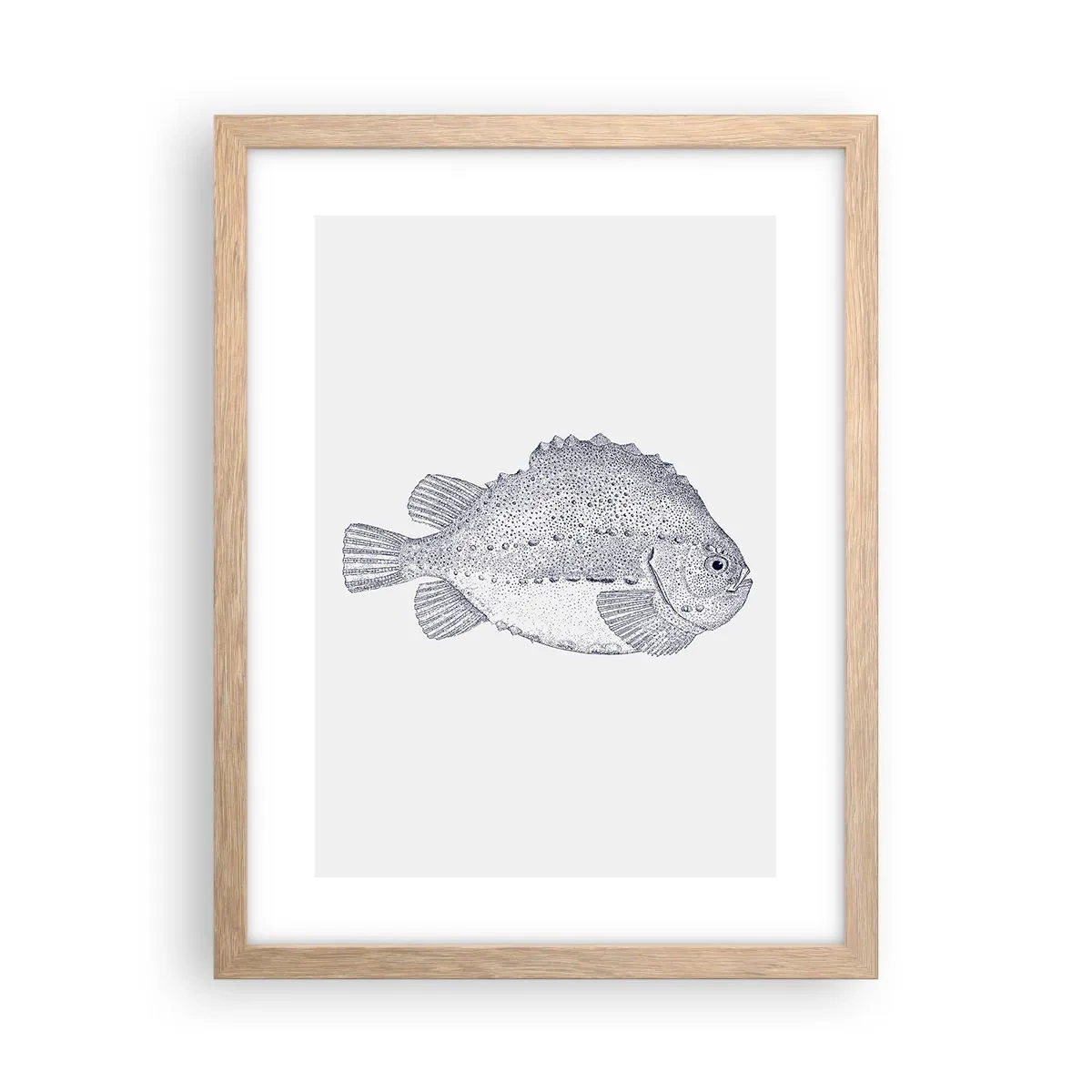 Affiche dans un chêne clair - Poster - Pour l'album du naturaliste - 30x40 cm