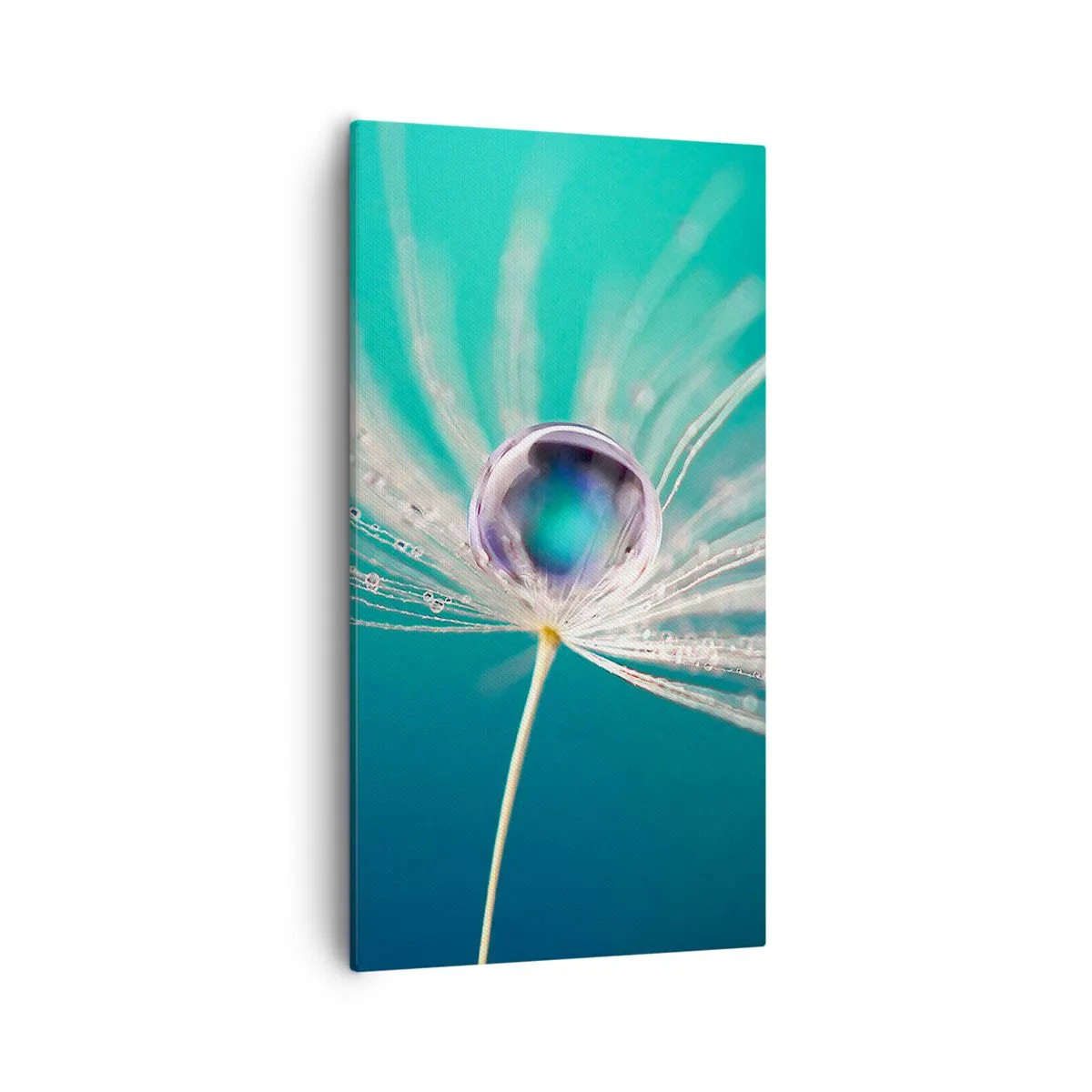 Impression sur toile - Image sur toile - Moment mystique - 55x100 cm