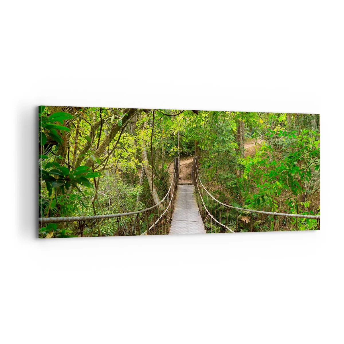Impression sur toile - Image sur toile - Parce qu'il y a une plante grimpante dans le jardin - 100x40 cm