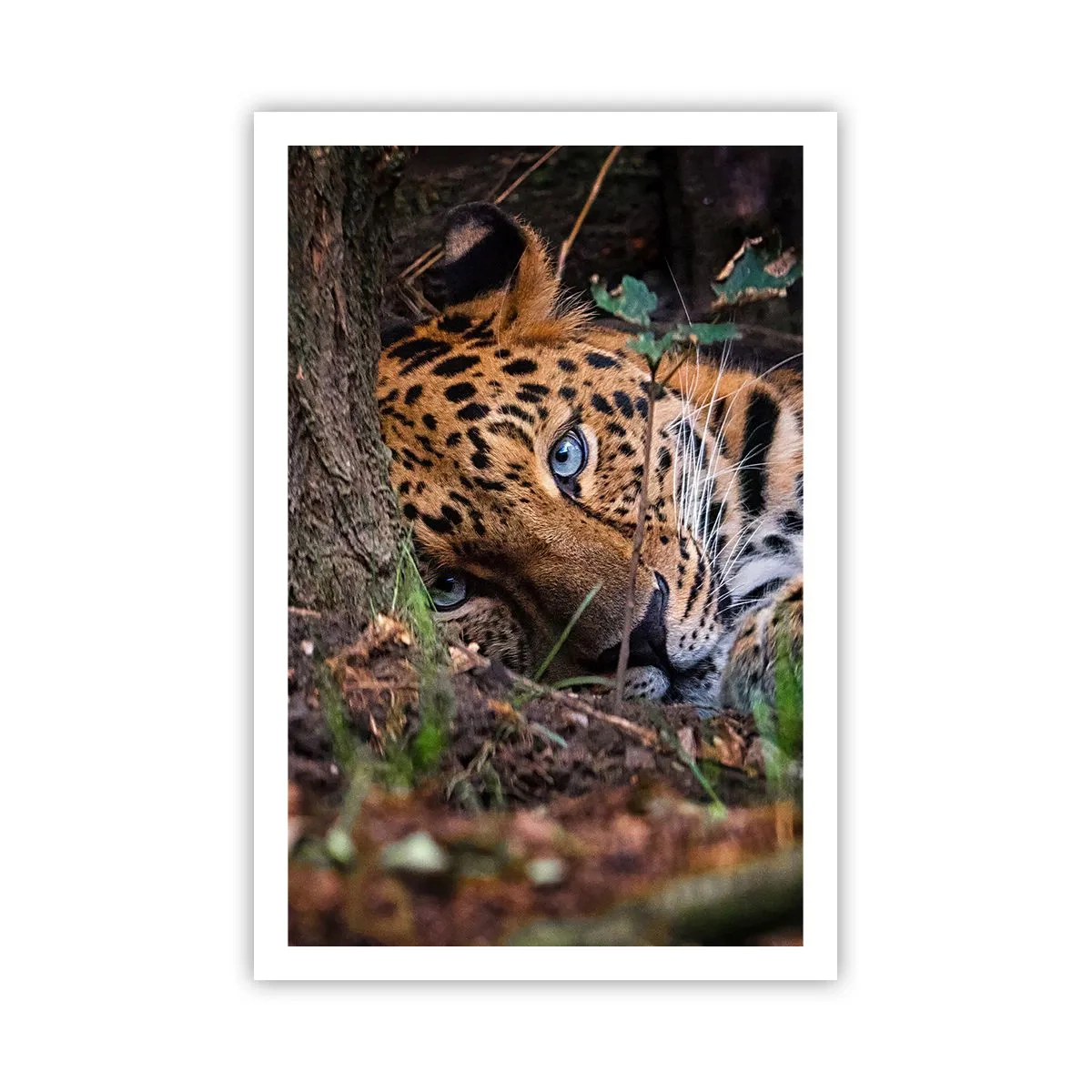 Affiche - Poster - Fais-moi confiance - 61x91 cm