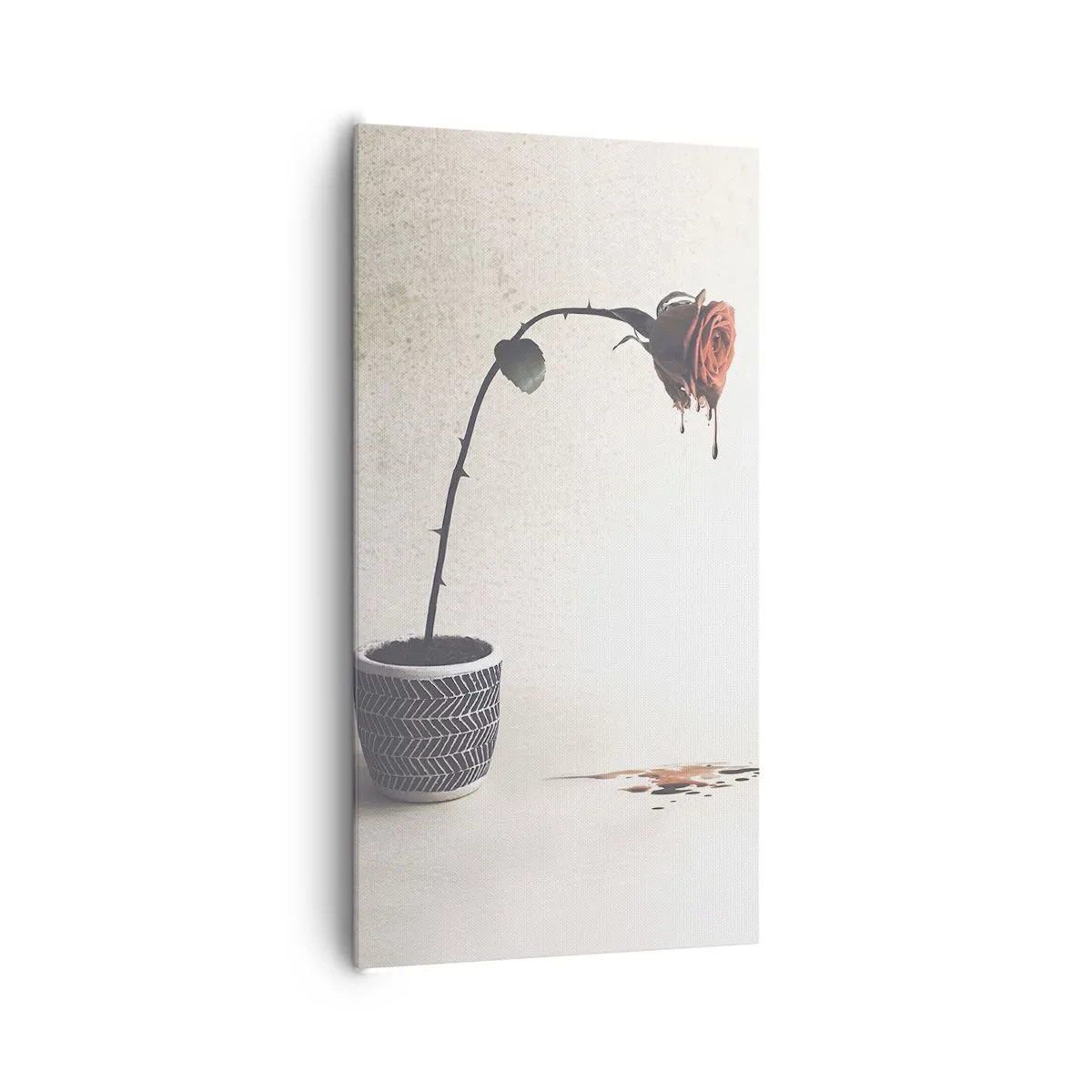 Impression sur toile - Image sur toile - Rosa dolorosa - 65x120 cm
