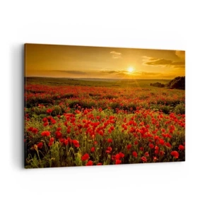 Impression sur toile - Image sur toile - Un champ de coquelicots rouges dans la lueur du soleil couchant - 120x80cm - Parmi les vagues des prairies bruissantes, parmi les fleurs du déluge - Décoration murale moderne pour le salon et la chambre ARTTOR