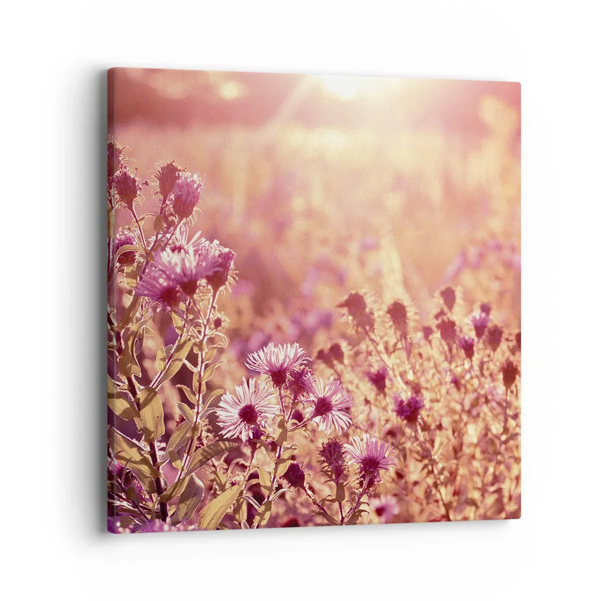 Impression sur toile - Image sur toile - Avant que l'été ne parte - 40x40 cm