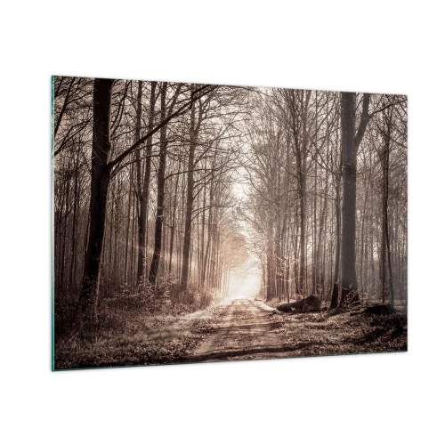 Impression sur verre - Image sur verre - Route forestière dans le brouillard matinal - 100x70cm - Cathédrale de la forêt - Décoration murale moderne pour le salon et la chambre ARTTOR