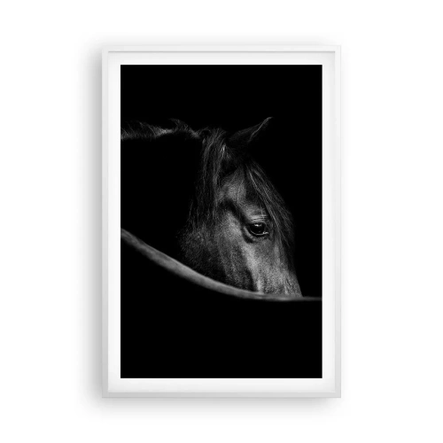 Affiche dans un cadre blanc - Poster - Prince Noir - 61x91 cm