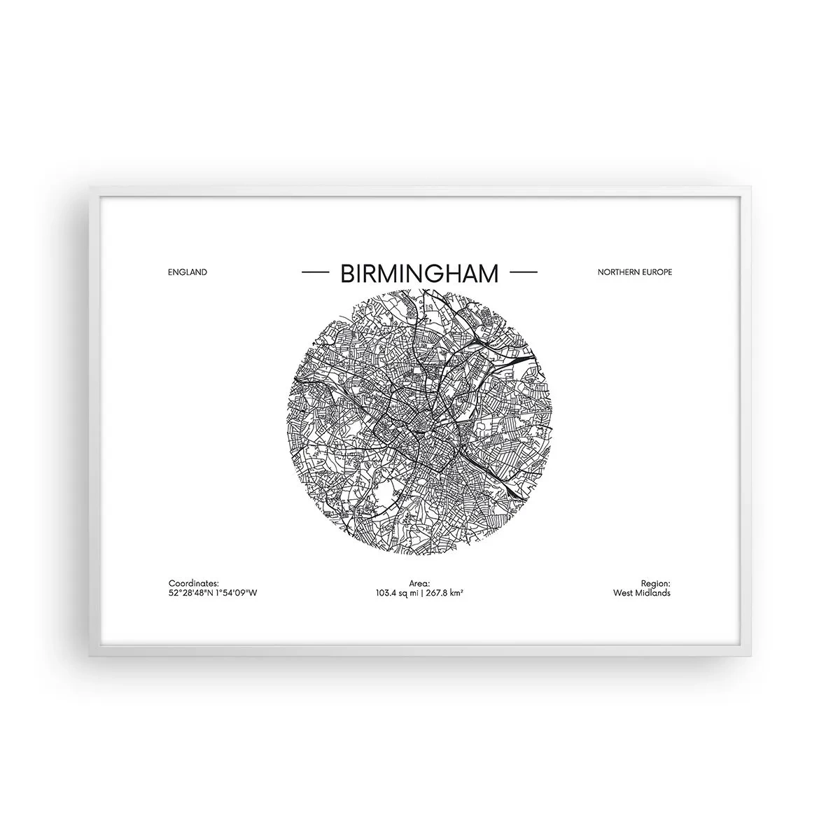 Affiche dans un cadre blanc - Poster - Anatomie de Birmingham - 100x70 cm