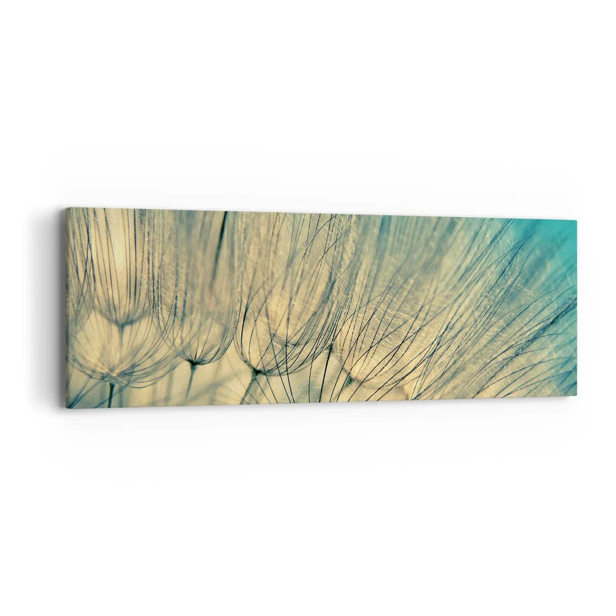 Impression sur toile - Image sur toile - En attente du vent - 90x30 cm