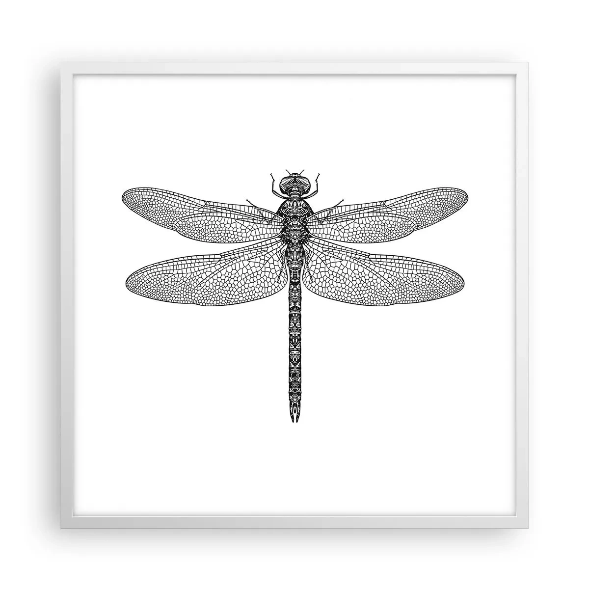 Affiche dans un cadre blanc - Poster - Précision de la nature - 60x60 cm