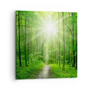 Impression sur toile - Image sur toile - Cathédrale verte - 70x70 cm