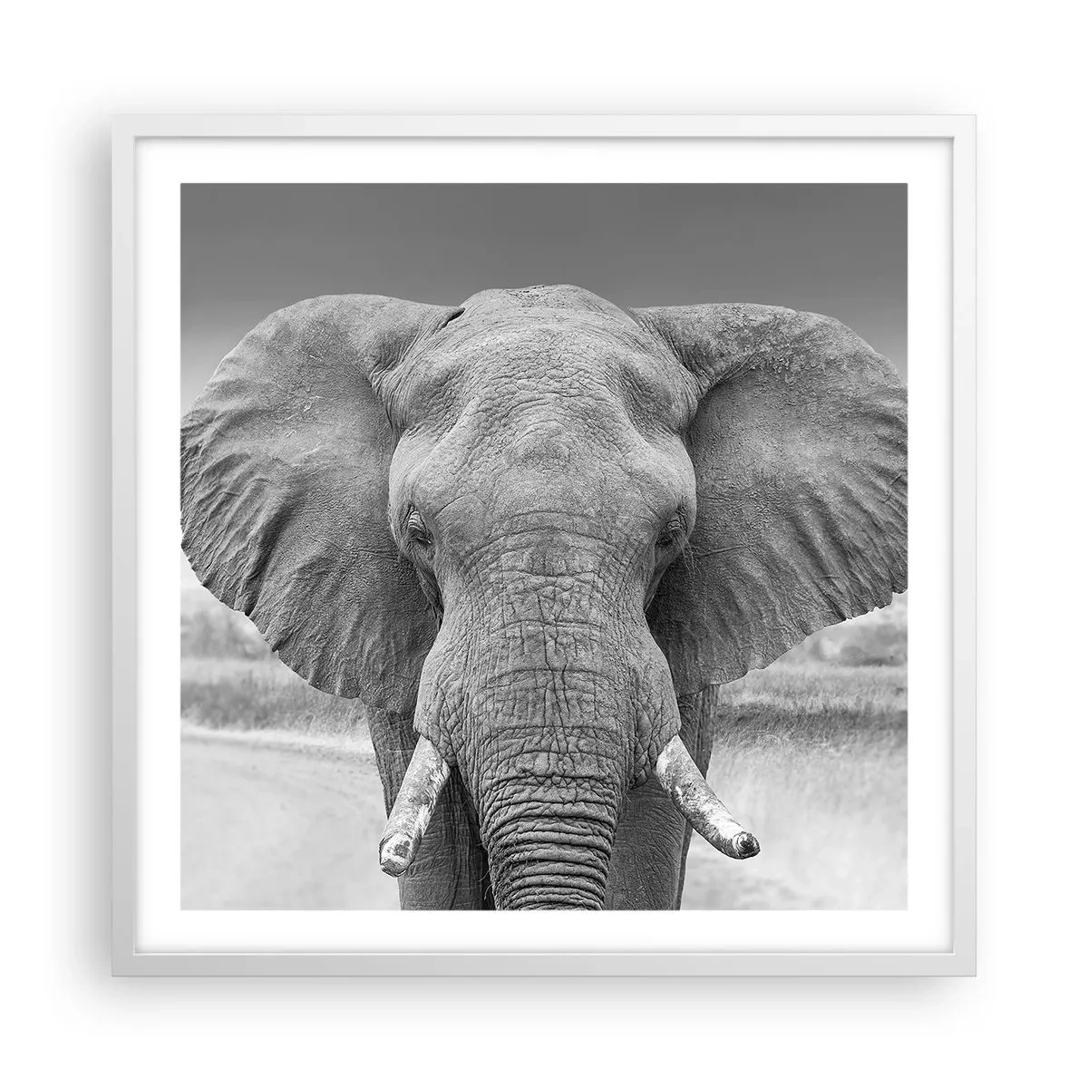 Affiche dans un cadre blanc - Poster - Bienvenue dans mon monde - 60x60 cm