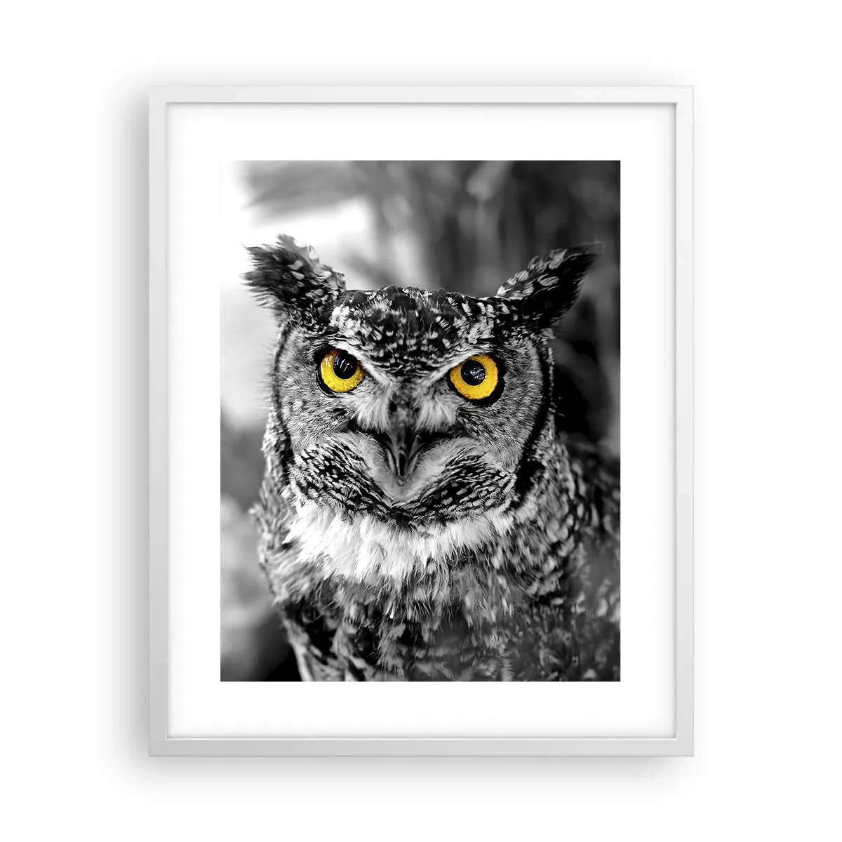 Affiche dans un cadre blanc - Poster - Rien ne se cachera - 40x50 cm