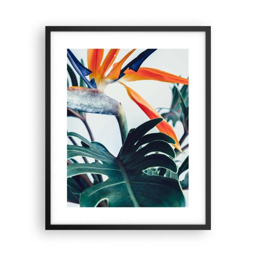 Affiche dans un cadre noir - Poster - Le buisson oiseaux - 40x50 cm