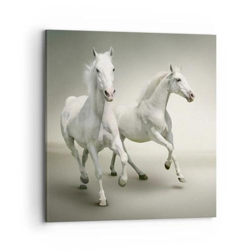 Impression sur toile - Image sur toile - White power! - 70x70 cm