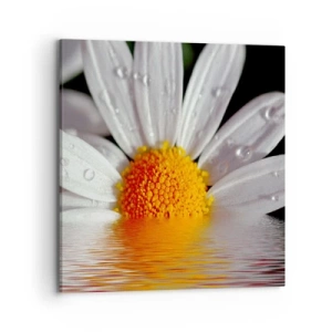 Impression sur toile - Image sur toile - Le soleil levant des marguerites - 70x70 cm