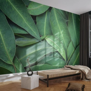 Papier Peint Autocollant Deluxe Sticker - Juteux et frais - Feuilles, Eucalyptus, Nature - 300x210 cm