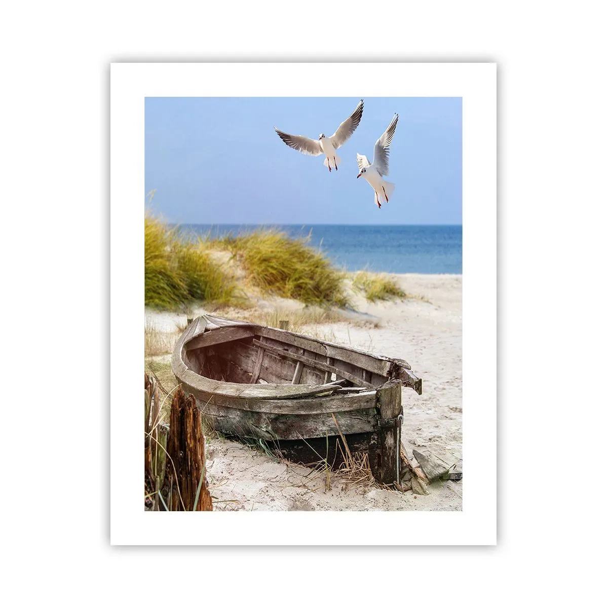 Affiche - Poster - Bain de vent - 40x50 cm