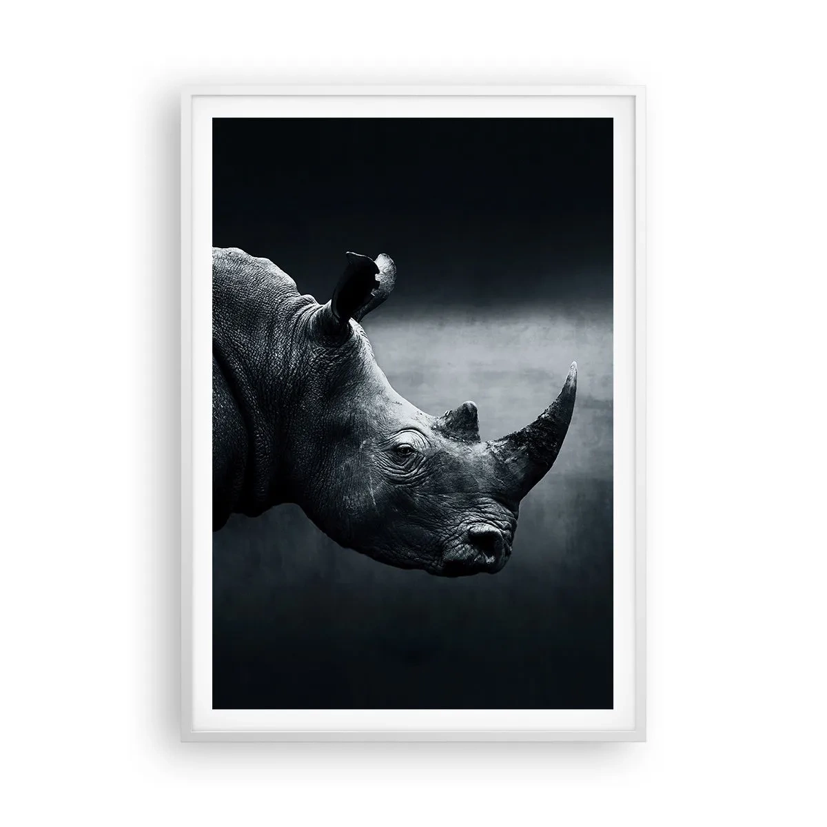 Affiche dans un cadre blanc - Poster - Le profil droit - 70x100 cm