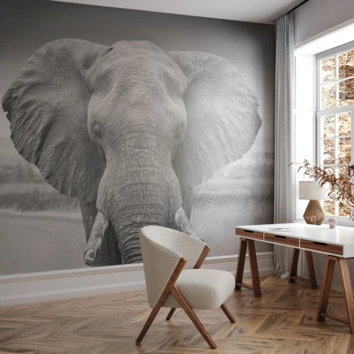 Papier Peint Autocollant Deluxe Sticker - Bienvenue dans mon monde - Éléphant, Afrique, Animaux - 250x175 cm