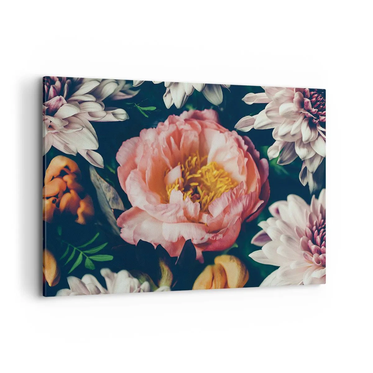 Impression sur toile - Image sur toile - Composition florale avec pivoines et chrysanthèmes sur fond sombre - 100x70cm - Splendeur baroque - Décoration murale moderne pour le salon et la chambre ARTTOR
