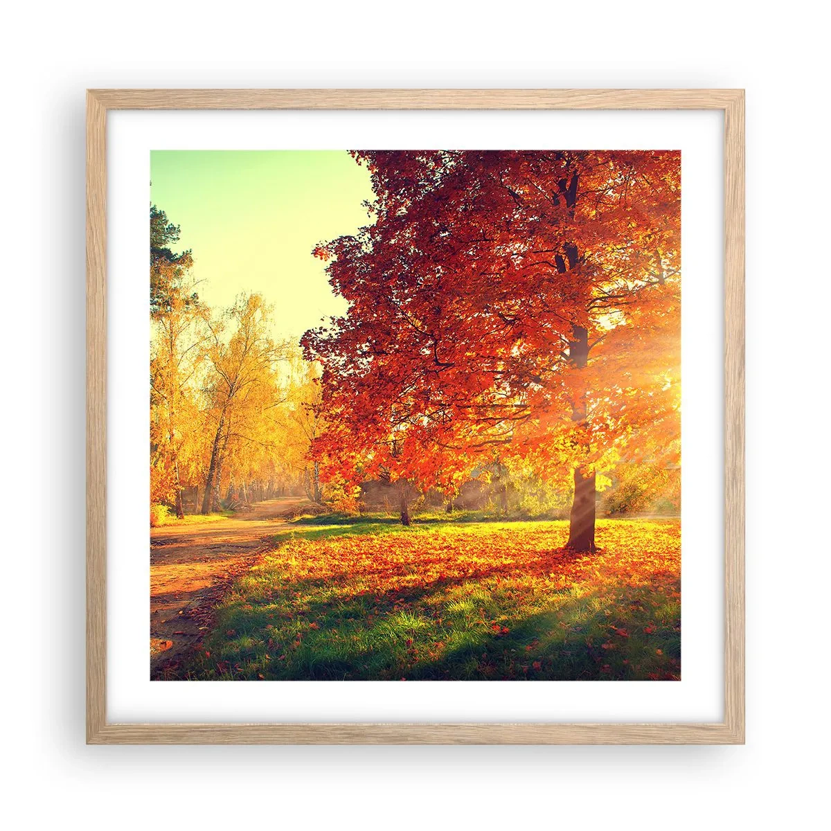 Affiche dans un chêne clair - Poster - Le roux est beau - 50x50 cm