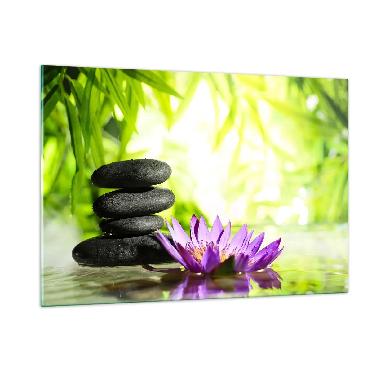 Impression sur verre - Image sur verre - Fleur de lotus violette avec des pierres zen sur fond vert - 120x80cm - Dans un buisson de bambou - Décoration murale moderne pour le salon et la chambre ARTTOR