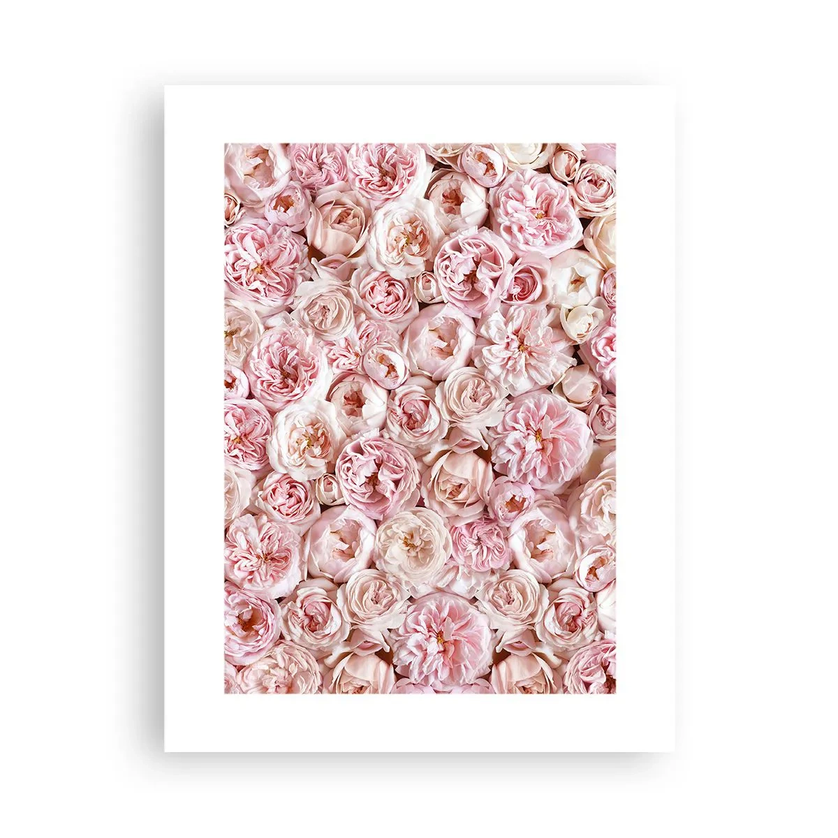 Affiche - Poster - Un lit de roses - 30x40 cm