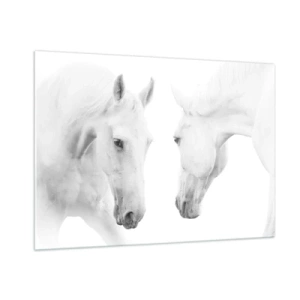 Impression sur verre - Image sur verre - Deux chevaux blancs se faisant face sur un fond clair - 100x70cm - Serait-ce de l’amitié? - Décoration murale moderne pour le salon et la chambre ARTTOR