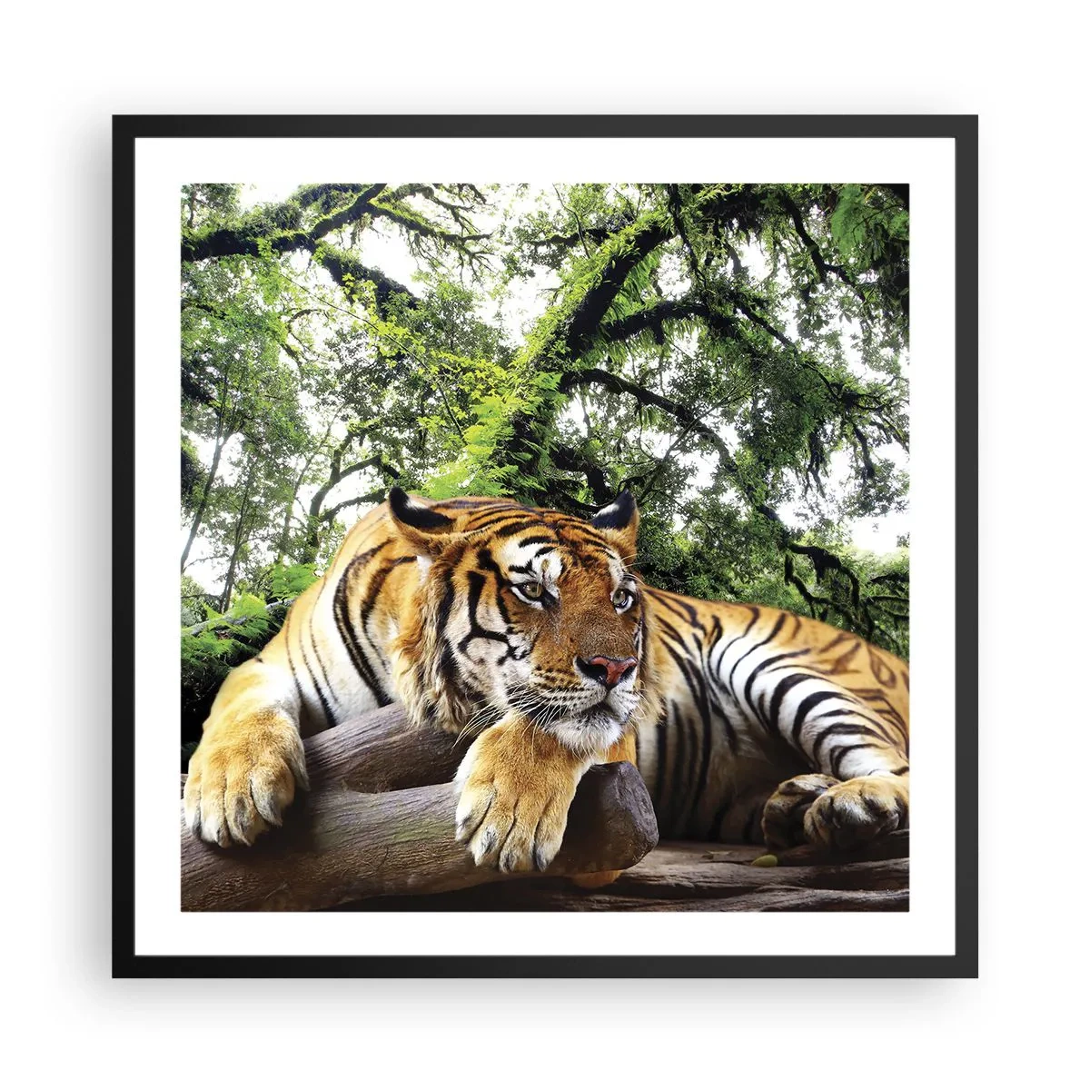 Affiche dans un cadre noir - Poster - Cordialement - 60x60 cm