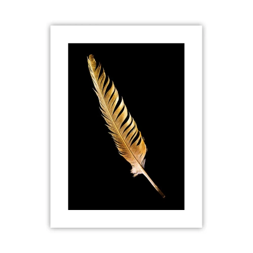 Affiche - Poster - Sans porte-plume - 30x40 cm