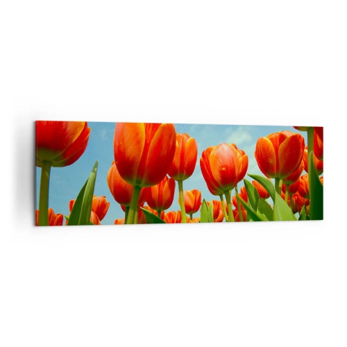 Impression sur toile - Image sur toile - Un champ de tulipes rouges et oranges contre un ciel bleu - 160x50cm - A part le ciel bleu, ils n'ont besoin de rien dans leur vie - Décoration murale moderne pour le salon et la chambre ARTTOR