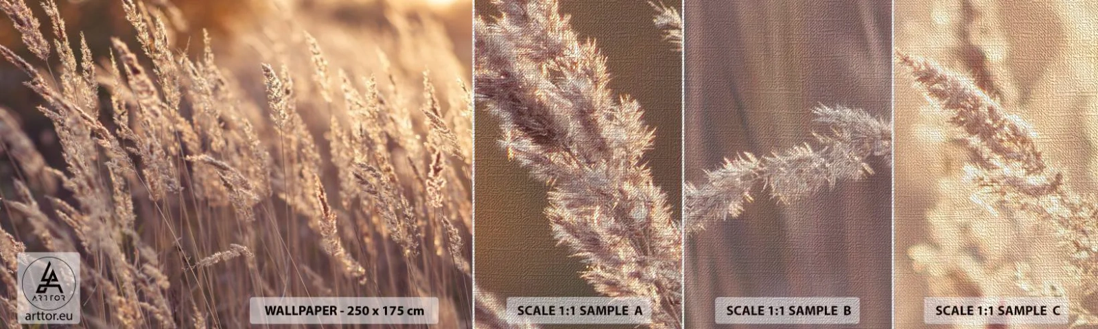 Échantillon de Papier Peint Premium Canvas - Prêt à accueillir l'automne - Paysage, Épis de céréales, Prairie - 100x30 cm