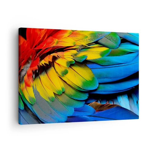 Impression sur toile - Image sur toile - Gros plan des plumes colorées d'un perroquet - 70x50cm - Oiseau de paradis - Décoration murale moderne pour le salon et la chambre ARTTOR