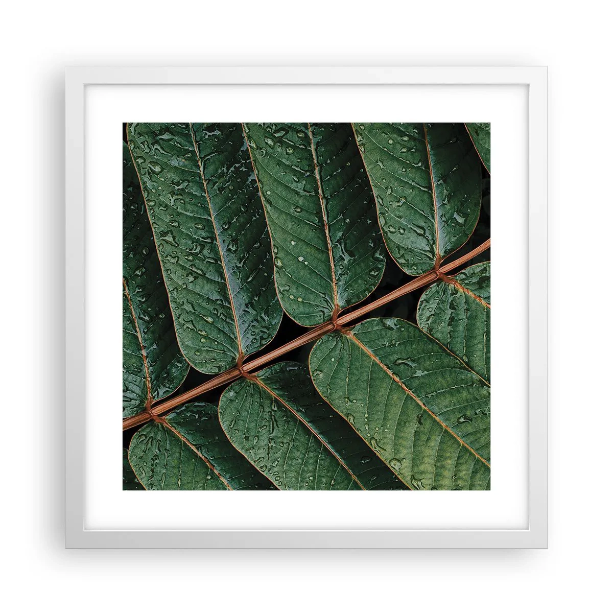 Affiche dans un cadre blanc - Poster - Au rythme de la verdure - 40x40 cm