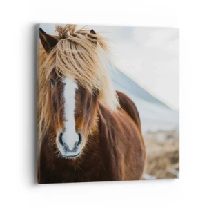 Impression sur toile - Image sur toile - Sentez-vous la liberté ? - 40x40 cm