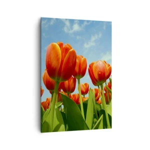 Impression sur toile - Image sur toile - Un champ de tulipes rouges et oranges contre un ciel bleu - 70x100cm - A part le ciel bleu, ils n'ont besoin de rien dans leur vie - Décoration murale moderne pour le salon et la chambre ARTTOR