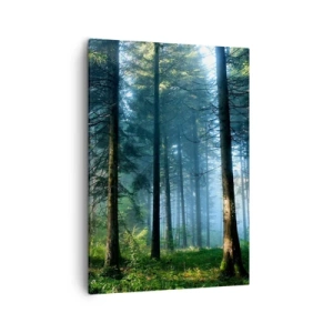 Impression sur toile - Image sur toile - Un chemin forestier illuminé par les rayons du soleil du matin - 50x70cm - Rayonnant le matin - Décoration murale moderne pour le salon et la chambre ARTTOR