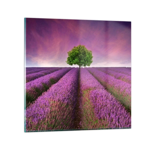 Impression sur verre - Image sur verre - Dans un champs de lavande - 30x30 cm