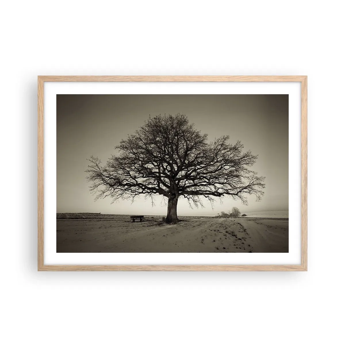 Affiche dans un chêne clair - Poster - D'ici à l'éternité - 70x50 cm