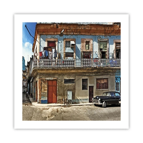 Affiche - Poster - Climat hawaïen - 50x50 cm