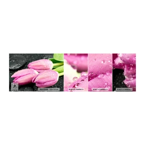 Échantillon de Papier Peint Autocollant Deluxe Sticker - Lilas trois sur une pierre noire - Fleurs, Tulipes, Bouquet de fleurs - 100x30 cm