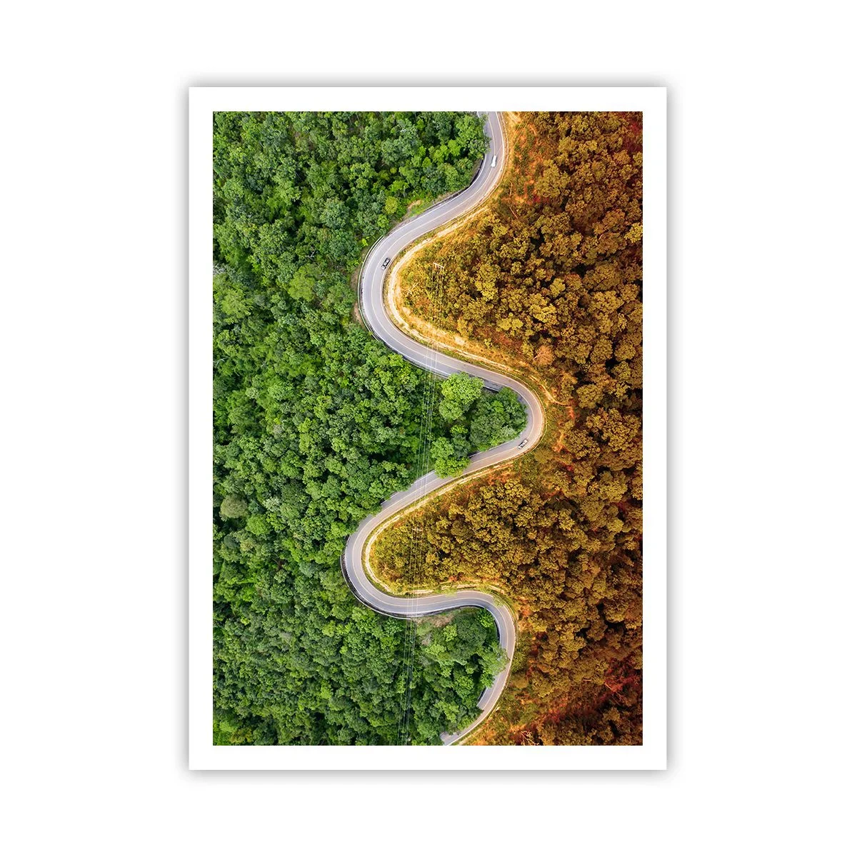 Affiche - Poster - Frontieres et differences - 70x100 cm