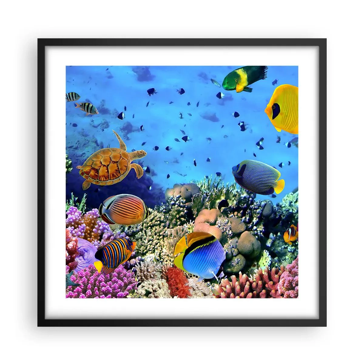 Affiche dans un cadre noir - Poster - Et que sait-on de la vie… - 50x50 cm