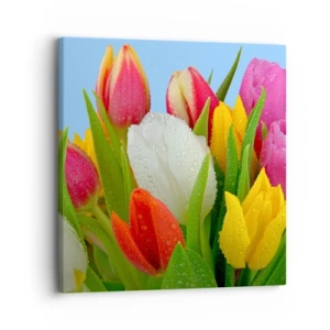 Impression sur toile - Image sur toile - Un arc-en-ciel fleuri en gouttes de rosée - 30x30 cm