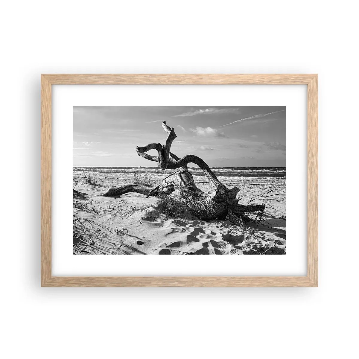 Affiche dans un chêne clair - Poster - Sculpture marine - 40x30 cm